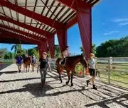 Equine-Assisted Therapies of South Florida logo