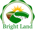 Bright Land Behavioral Services logo