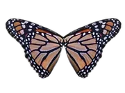 Ms Simone's Tutoring logo