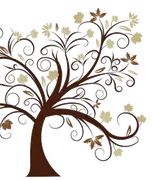 Seeds of Knowledge Tutoring logo