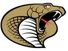 Hudson High School logo