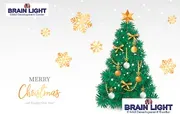 Brain Light Child Development Center logo