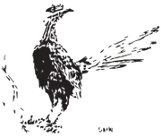 Terlingua CSD logo