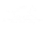 Soar Therapeutic Horseback Riding logo