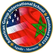 American Group International logo