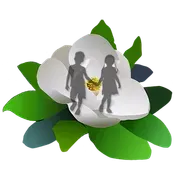 Magnolia Pediatric Therapy logo