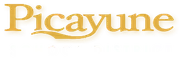 South Side Upper Elementary logo