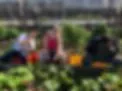 GrowOn at AGFarm logo