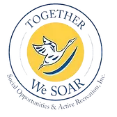 SOAR logo
