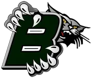 Blum Independent School District logo