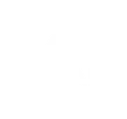 Blue Star Family logo