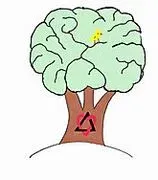 New Beginnings Neuropsychology logo