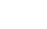 Brain Wellness Institute logo