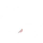 The Hirsch Academy logo