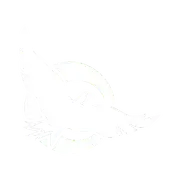 Dr. Jodie Knott Psychological Consulting logo