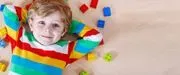 Bright Horizons Developmental Services logo