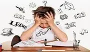 Puzzled Minds Tutoring logo