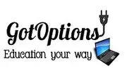 Got Options LLC logo