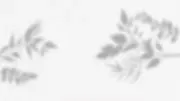 Key Communication Speech & Language Services, Inc. logo