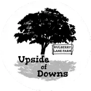 Upside of Downs logo
