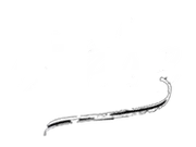 Speech Waves logo
