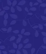 Fullest Expressions Speech Therapy logo