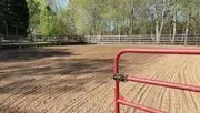 Stars and Strides Therapeutic Riding Program logo