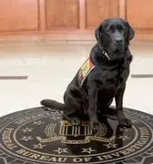 Assistance Dogs of the West logo