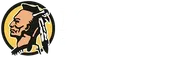 Newport Grammar School logo