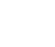 Optimal Therapy of NWA logo