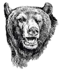 Greenville R-2 School District logo