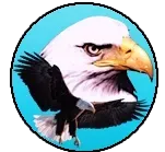 Elon Elementary School logo