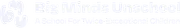 Big Minds Unschool logo