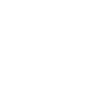 Pony Bird, Inc. logo