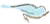 ParentsCAN logo
