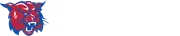 Summersville School District 79 logo