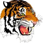 New Boston Local Schools logo