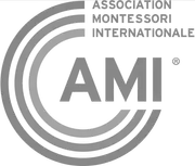 AMI/USA logo