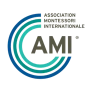 AMI/USA logo