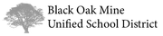 Black Oak Mine Unified School District logo