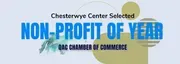 Chesterwye Center & Foundation logo