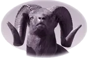 Strasburg High School logo