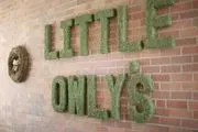 Little Owly's Nest for Knowledge logo