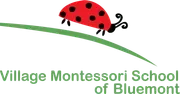 Village Montessori School logo