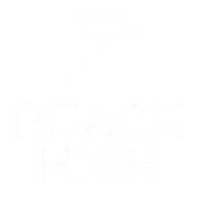 Reach High Consulting logo