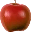 Academic Associates of Grass Valley logo
