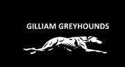 Gilliam C-4 School District logo