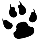 Bear Creek Elementary School logo