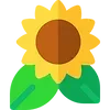 Sunflower Academics logo