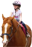 Dreams on Horseback image 1